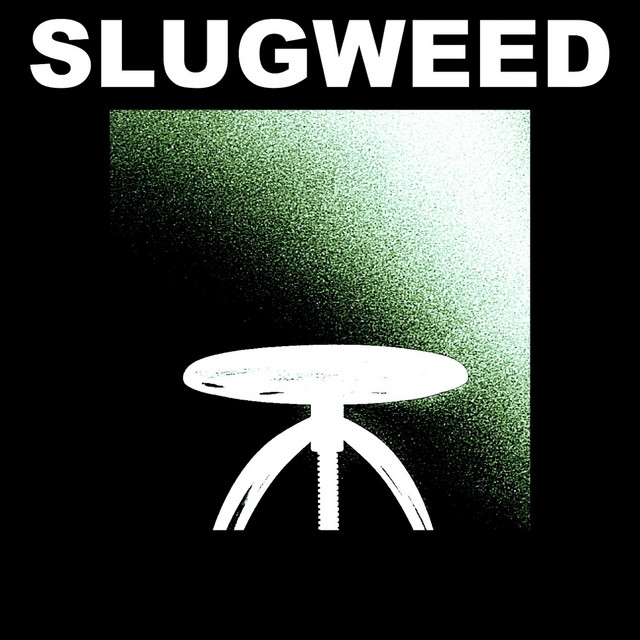 Songs for the Unidentified Space Traveler