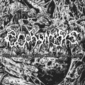 Different Facets of Filthy Chunks from Scaphism