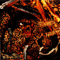 The Rockbreaker EP