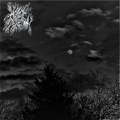 Necrobiome demo