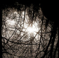 Nature EP (Instrumental Version)