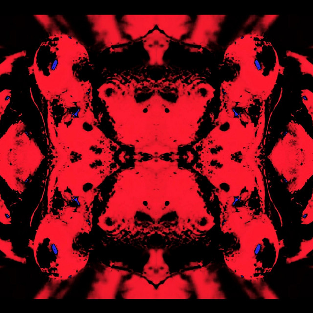 Hive Mind I: Convergent Evolution
