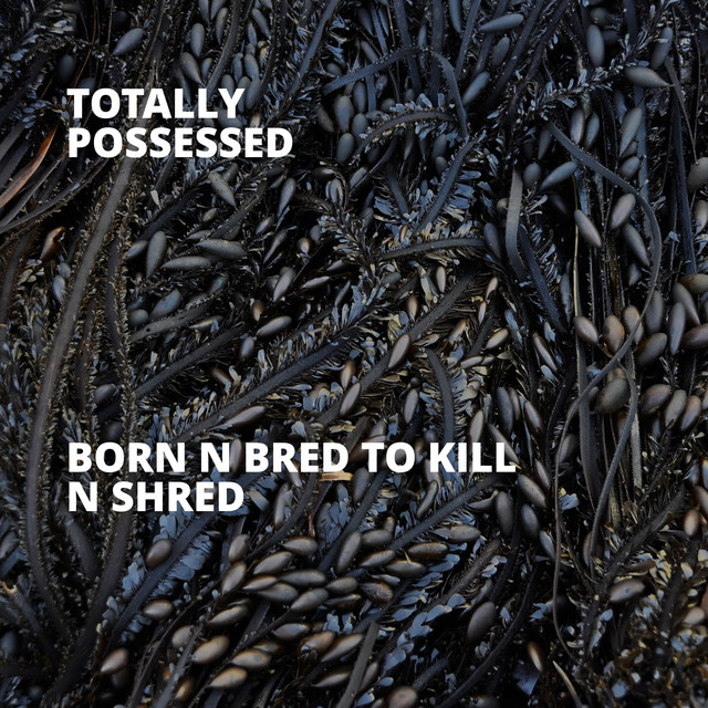 Born N Bred to Kill N Shred
