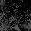 Split w/ Unearthly Trance
