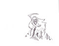 Rough Demo 2