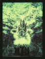 Motherplant