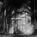 Veil of Torment