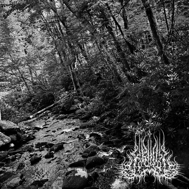 Ritualistic Dream