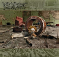 Split with Parasitic Equilibrium