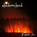 The Woodless Forest