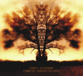 Symmetry Through Collapse