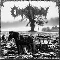 Fields Of Fear