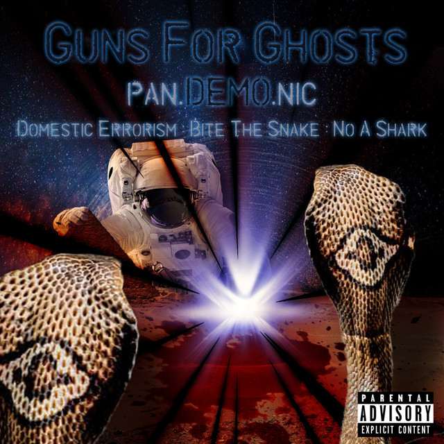 Pan.DEMO.nic