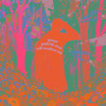 forest sounds and where they led me