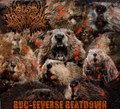 BUC-EEVERSE BEATDOWN