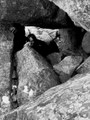Swallowed by the Veins of Earth