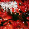 Coprophagic Gingivitis