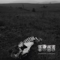 Unforgiving Landscapes