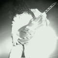 LiveWhite