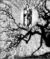 Tape EP