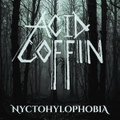 Nyctohylophobia
