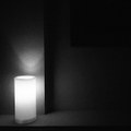 a grave for small birds (holiday single)