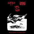 Bestial Soldiers ov Crushing Steel (Split) (TAM Tracks Only)