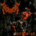Necrobolism