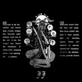 Ecco / Dead Peasants Split: Whimper