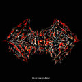 Surrounded (Single)