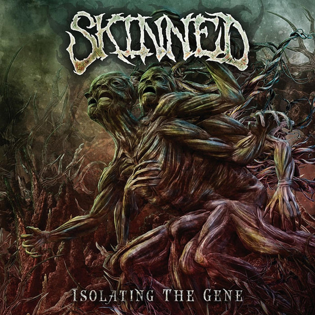 Isolating The Gene