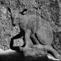 Stone Mammal