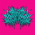 EPIDIDYMIC ARACHNID SPERM SIPHONING