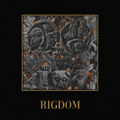 Rigdom