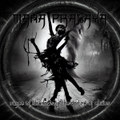 Dance of Shadows in the Vortex of Chaos