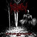 The Ache I Felt and the Mark it Left (Demo)