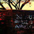 Do you Believe in Angels?