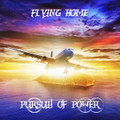 Flying Home