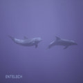 Entelech