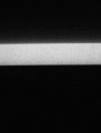 Trees / Lucifer transit over Jupiter