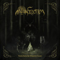 Tales from the Unseelie Court