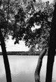 drifting towards obscurity