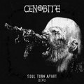 Soul Torn Apart (demo)