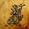 Harvest Aorta