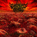 Sea of Necrophenomena