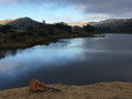 From the Reservoir