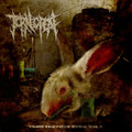 TORN THE FUCK OPEN Vol. 1
