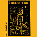 Autumnal Forest