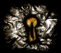 Through the Keyhole