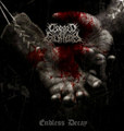 ENDLESS DECAY